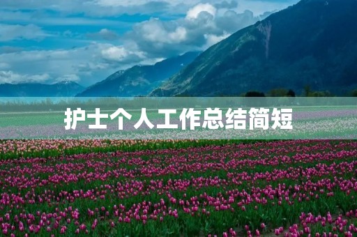 护士个人工作总结简短