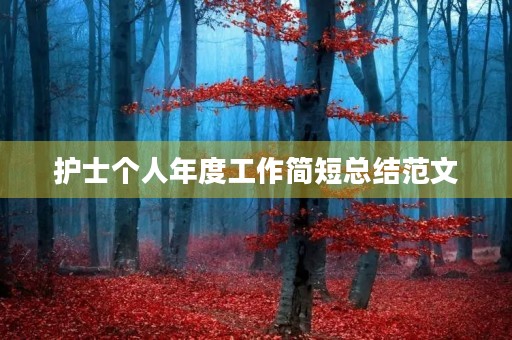 护士个人年度工作简短总结范文