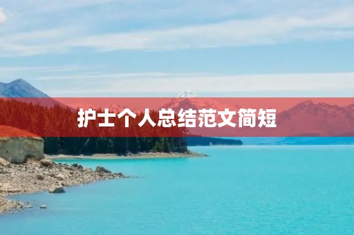 护士个人总结范文简短