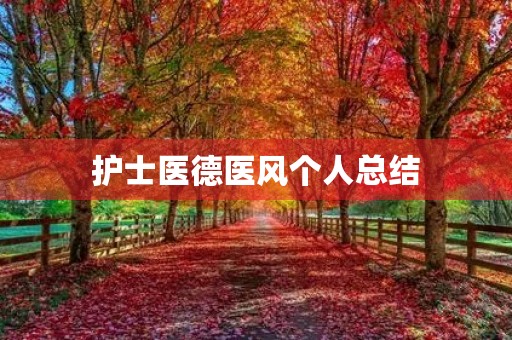 护士医德医风个人总结