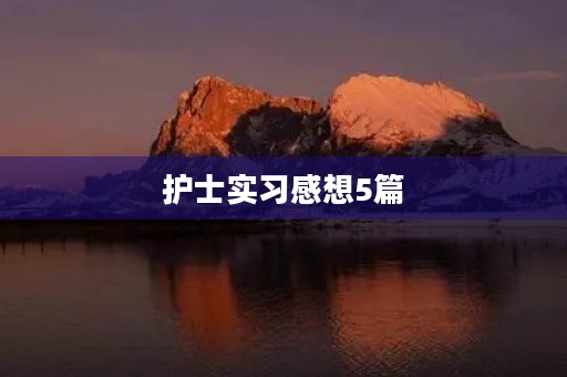 护士实习感想5篇