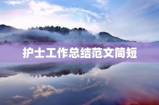 护士工作总结范文简短