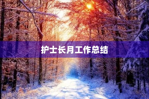 护士长月工作总结