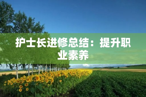 护士长进修总结：提升职业素养，提高团队凝聚力