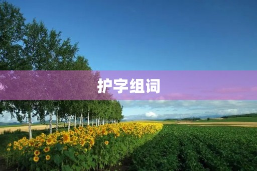 护字组词(护组词)