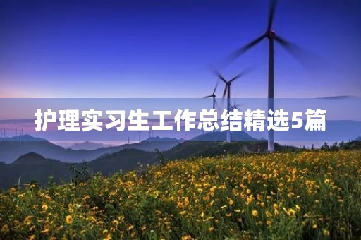 护理实习生工作总结精选5篇
