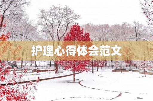 护理心得体会范文