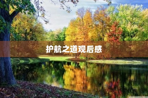 护航之道观后感