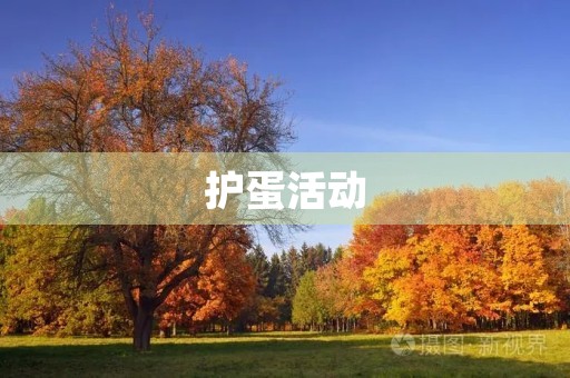 护蛋活动