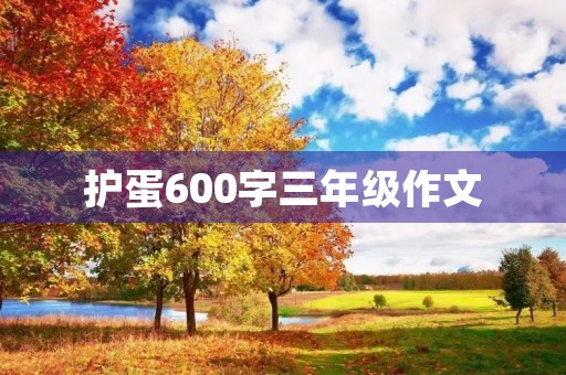 护蛋600字三年级作文 护蛋600字三年级作文