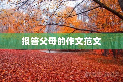 报答父母的作文范文 报答父母的作文范文