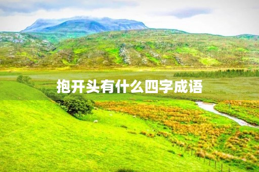 抱开头有什么四字成语