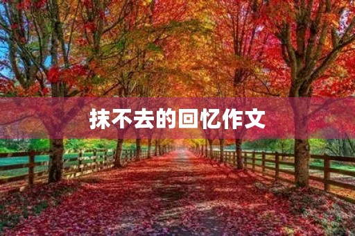 抹不去的回忆作文