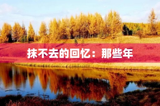 抹不去的回忆：那些年，我们一起追过的梦