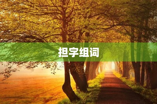 担字组词(担组词)