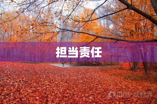 担当责任，成就未来