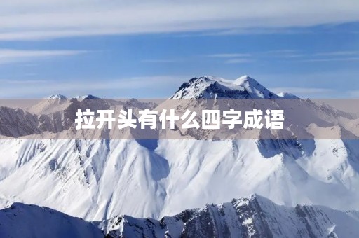 拉开头有什么四字成语