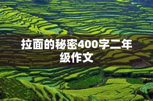 拉面的秘密400字二年级作文