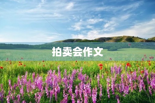 拍卖会作文 拍卖会作文