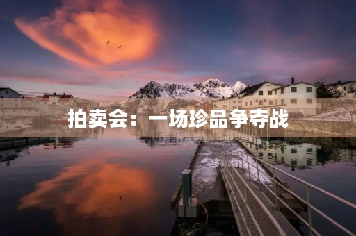 拍卖会:一场珍品争夺战 拍卖会:一场珍品争夺战