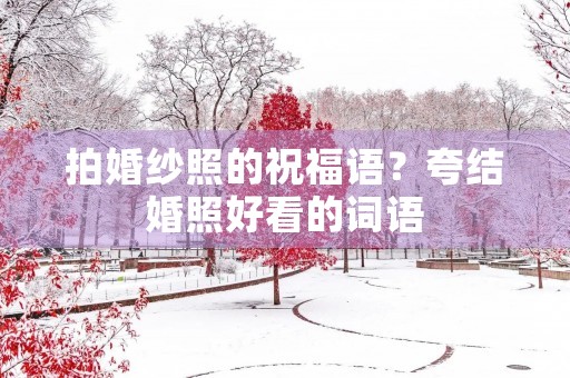 拍婚纱照的祝福语？夸结婚照好看的词语