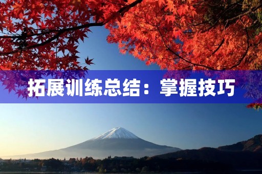 拓展训练总结：掌握技巧，提升写作水平
