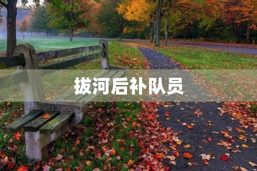 拔河后补队员