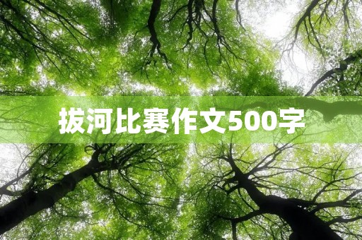 拔河比赛作文500字
