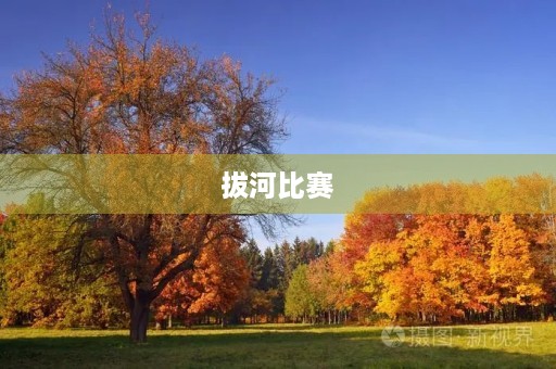 拔河比赛,我来了! 拔河比赛,我来了!