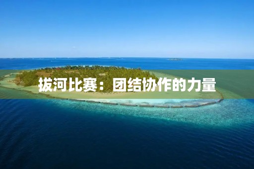 拔河比赛:团结协作的力量 拔河比赛:团结协作的力量