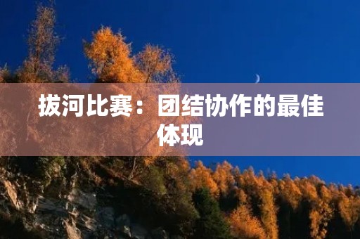 拔河比赛:团结协作的最佳体现 拔河比赛:团结协作的最佳体现