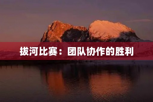 拔河比赛：团队协作的胜利