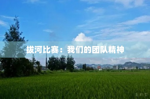 拔河比赛：我们的团队精神