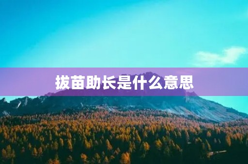 拔苗助长是什么意思