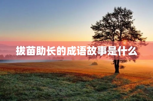 拔苗助长的成语故事是什么