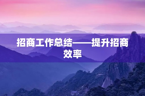 招商工作总结——提升招商效率,实现经济发展