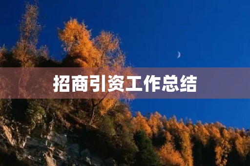 招商引资工作总结