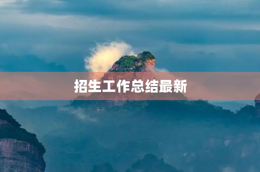 招生工作总结最新