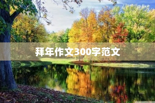 拜年作文300字范文