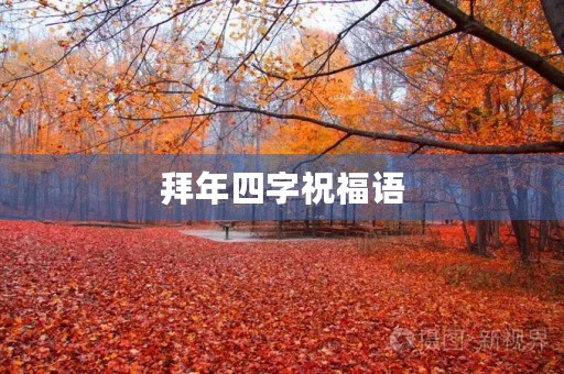 拜年四字祝福语,祝福语2个字高雅