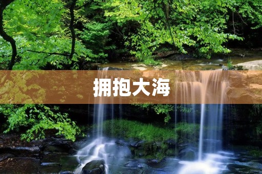 拥抱大海 拥抱大海