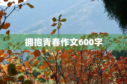 拥抱青春作文600字 拥抱青春作文600字
