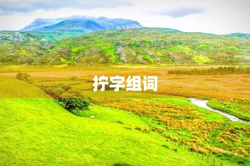 拧字组词(拧组词)