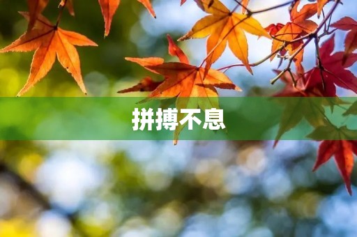 拼搏不息，终得成功