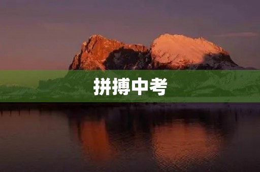 拼搏中考，我要争取满分！