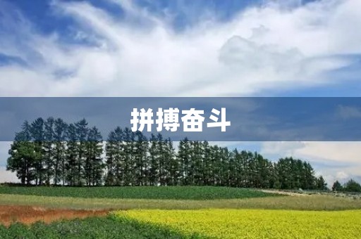 拼搏奋斗,励志人生 拼搏奋斗,励志人生