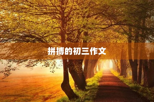 拼搏的初三作文 拼搏的初三作文