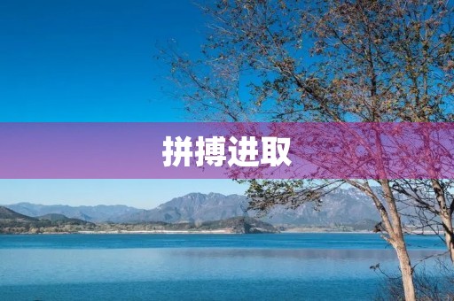 拼搏进取，迎接挑战