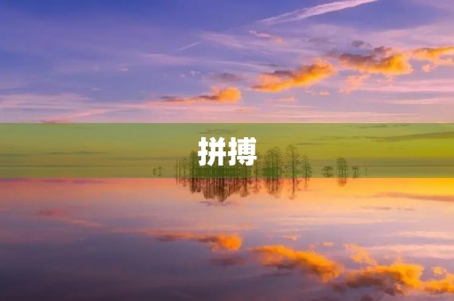 拼搏，让我在初三迎风而上