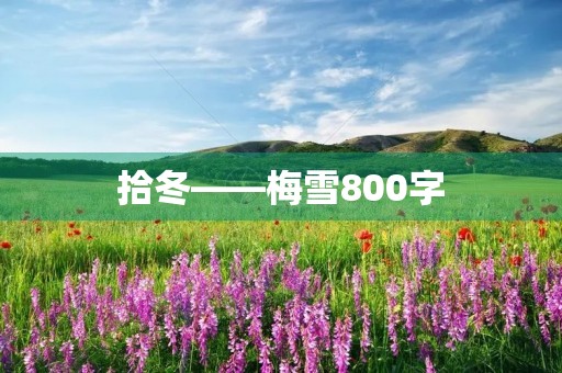 拾冬——梅雪800字